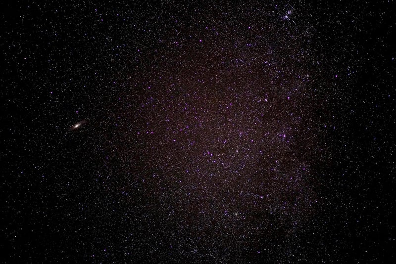 Stargazing Reception